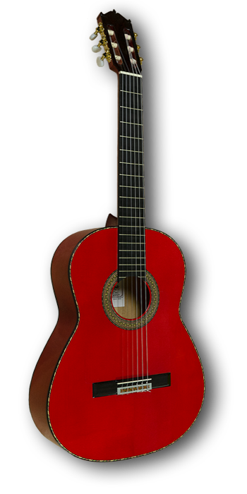 Foto Guitarra coleccion