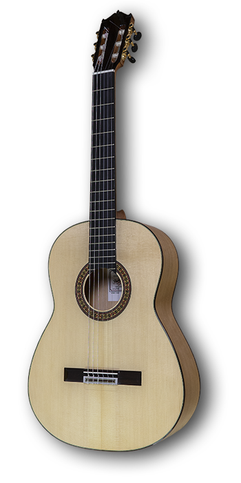 Foto Guitarra flamenca